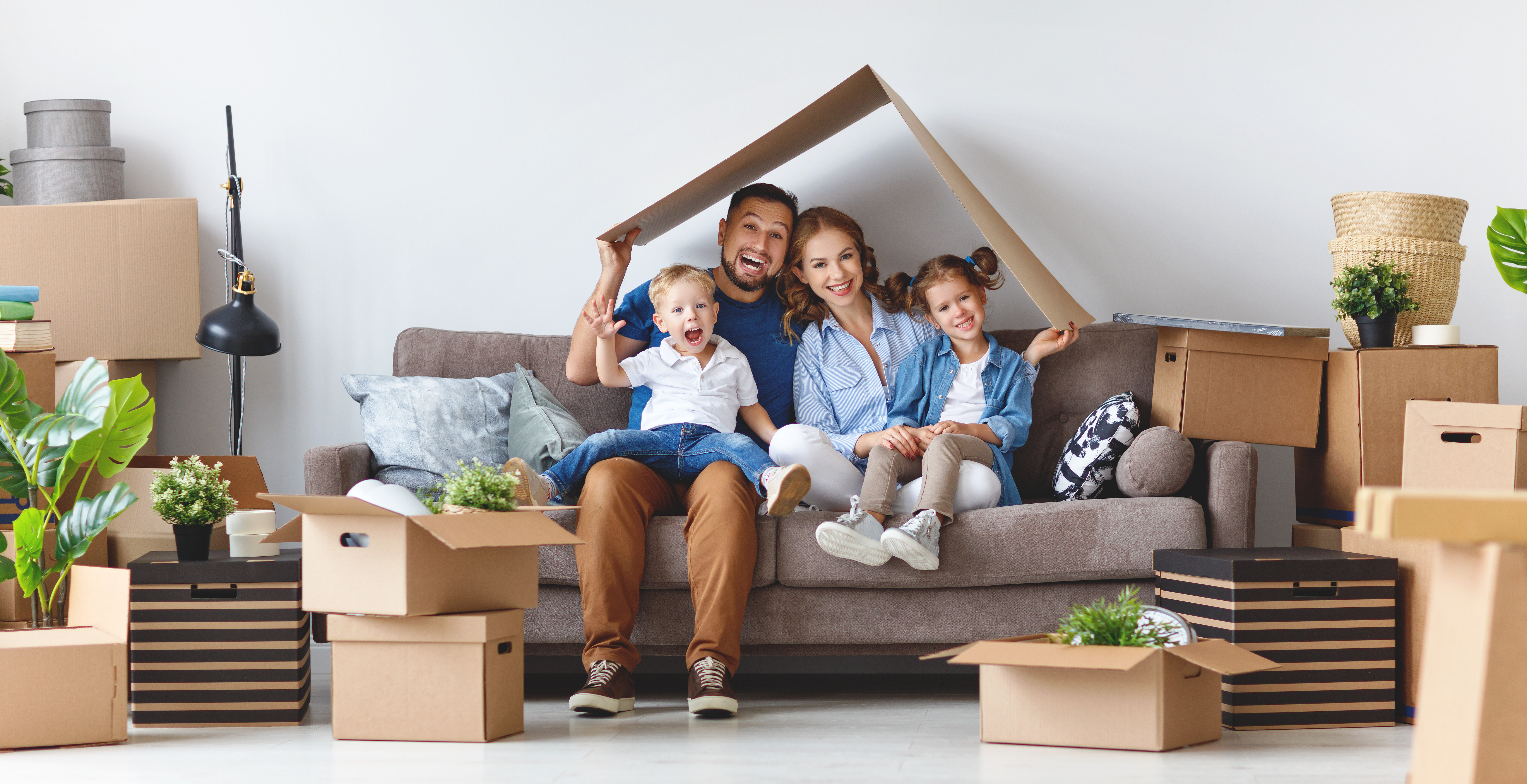 Home Removal Work Image